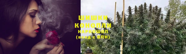 эйфоретик Горняк