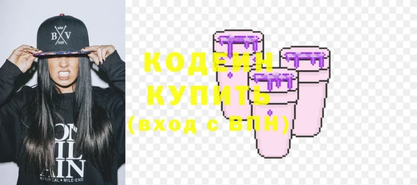 первитин Гусев