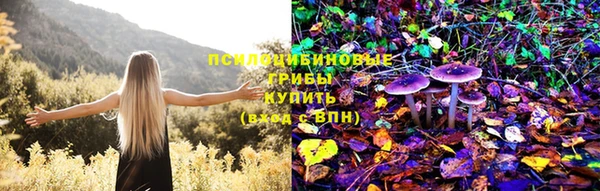 эйфоретик Горняк