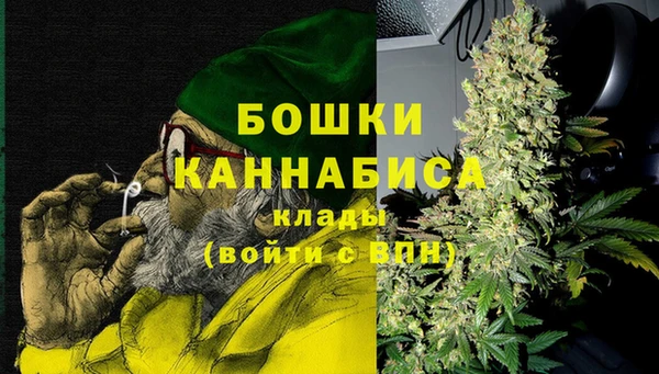 PSILOCYBIN Горно-Алтайск