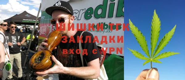 PSILOCYBIN Горно-Алтайск