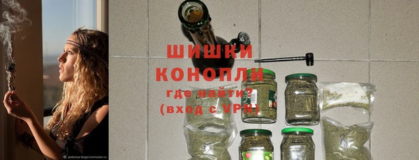амф Гусиноозёрск