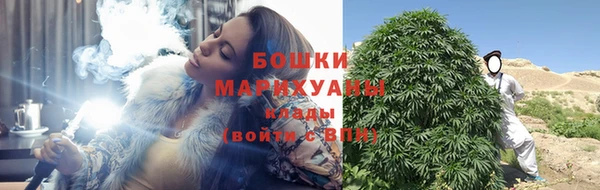 эйфоретик Горняк