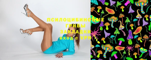 эйфоретик Горняк