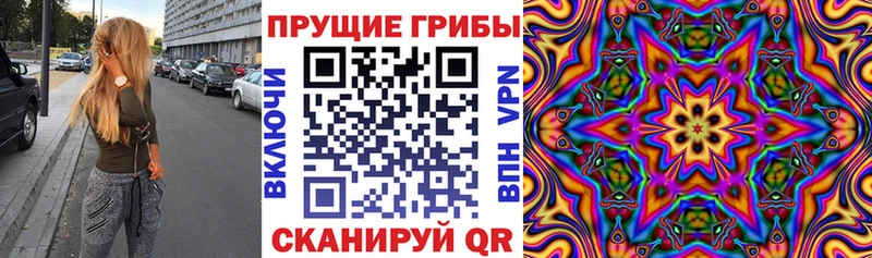 цена   Пестово  Псилоцибиновые грибы ЛСД 